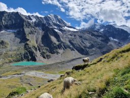 Stubai 2023